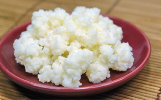 Life Kefir Grains